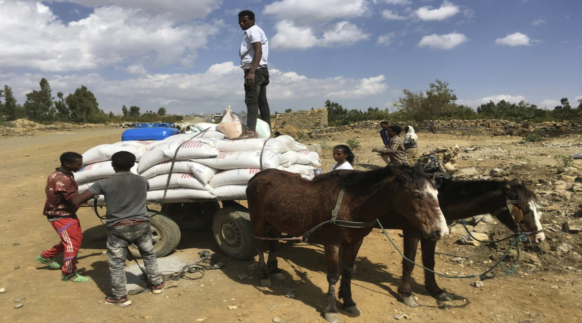 People affected by the conflict in Tigray load food aid provided by USAID and Catholic Relief Services onto a donkey cart to be tansported to their home, outside Mekele, Ethiopia. ( (Catholic Relief Services via AP)