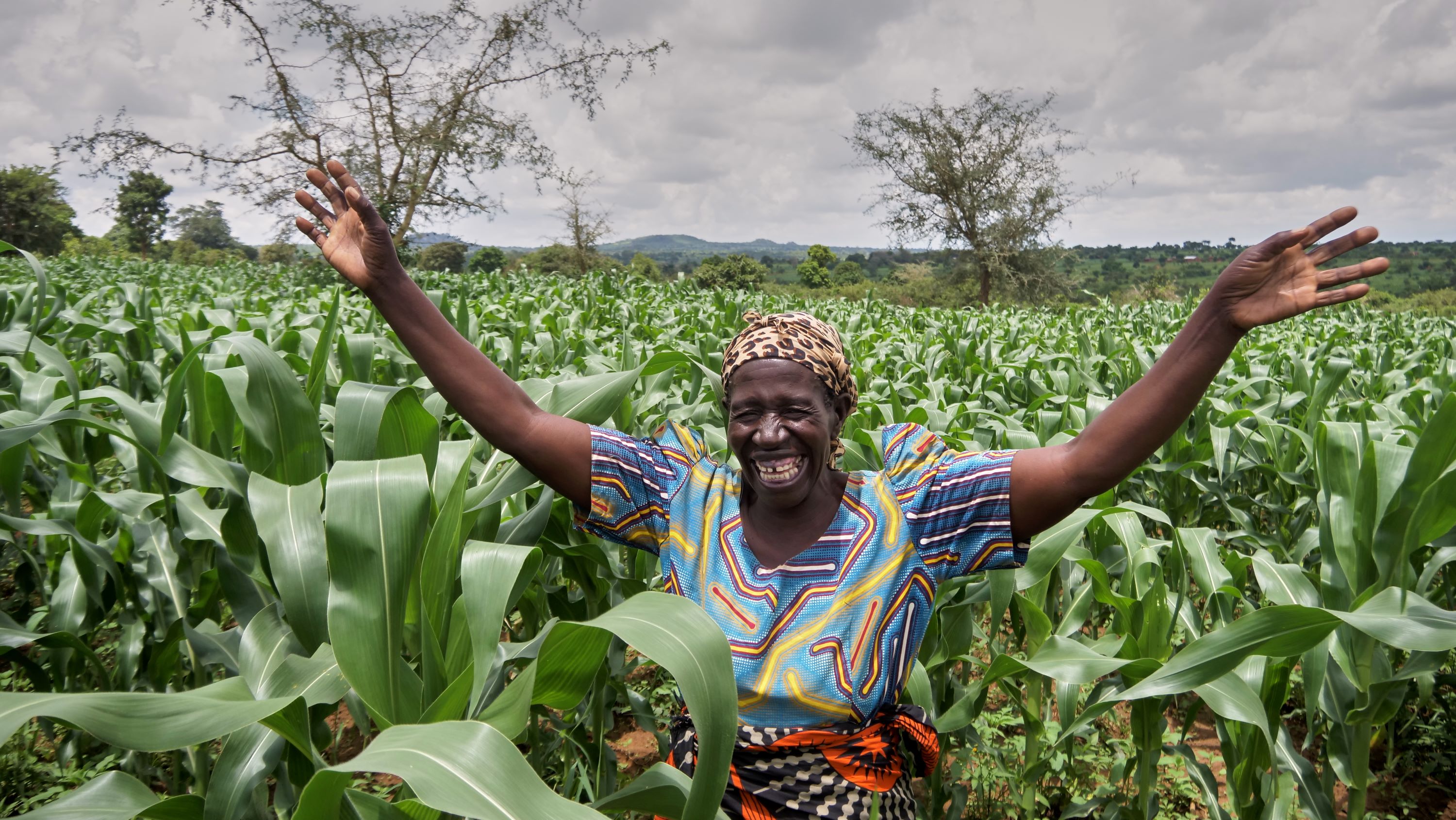 Farmers in rural Malawi transport freshly harvested maize to a local market as the country records an improved 2025/26 harvest, though national production still falls short of annual demand amid ongoing food security concerns.