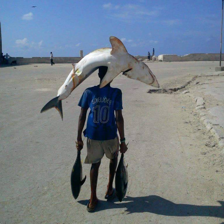 A Somali youth carries his fresh catch near Mogadishu's northern coast, reflecting the nation's abundant yet unprotected fisheries.
