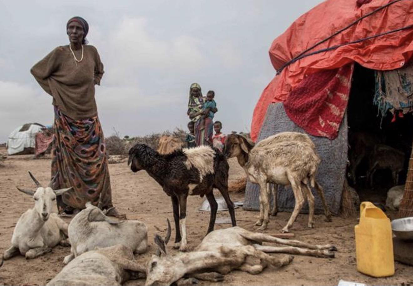 Millions in Somalia are affected by severe drought, with over 3.5 million people facing an emergency and in urgent need of humanitarian aid.