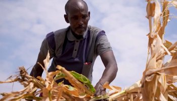 UN warns millions at risk in Somalia as food aid nears end.