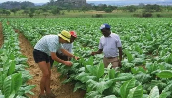 Guy Watson-Smith stands on his farmland in Zimbabwe before its seizure in 2001 during the country's land reform period.
